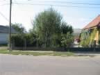 Homrogd030926 119.jpg (99kb)